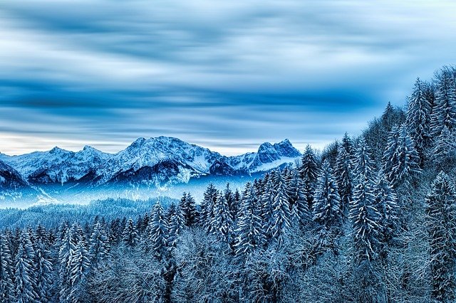 Picture of snowy trees and mountains